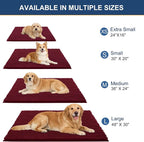 OLANLY Dog Door Mat for Muddy Paws 30x20, Ultra Absorbent Chenille Mud Doormat - Image 2