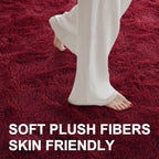 Area Rugs for Living Room, 5x7 Feet Soft Fluffy Shagg Plush Rug High Pile Large - Image 4