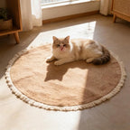 Cat Rug, Cat Scratch Rug, 39 in Washable Boho Braided Circle Rug, Soft and by Unknown