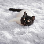 PAGISOFE Soft Comfy White Area Rugs - Image 7