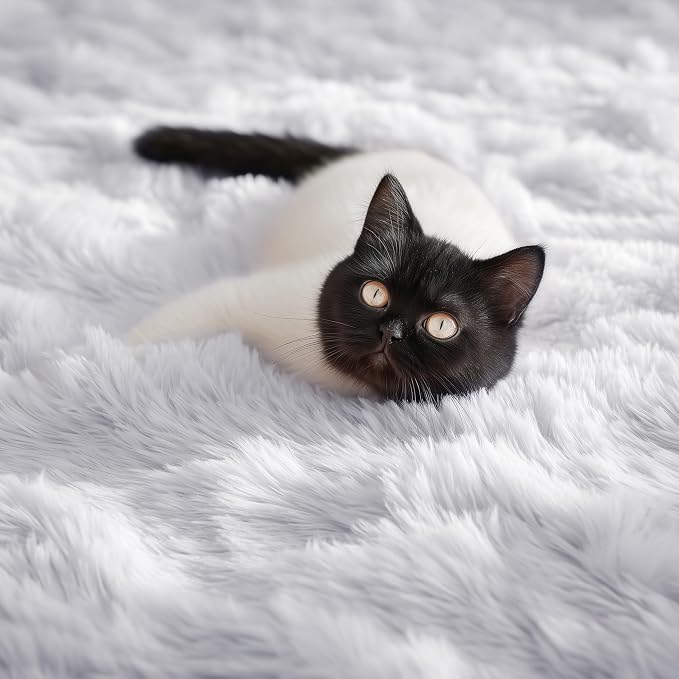 PAGISOFE Soft Comfy White Area Rugs - Image 7