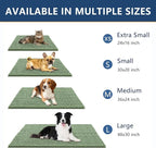 Smiry Dog Door Mat for Muddy Paws 30x20, Absorbent Dirt Trapper, Non-Slip - Image 3