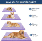 OLANLY Dog Door Mat for Muddy Paws 30x20, Ultra Absorbent Chenille Mud Doormat - Image 2