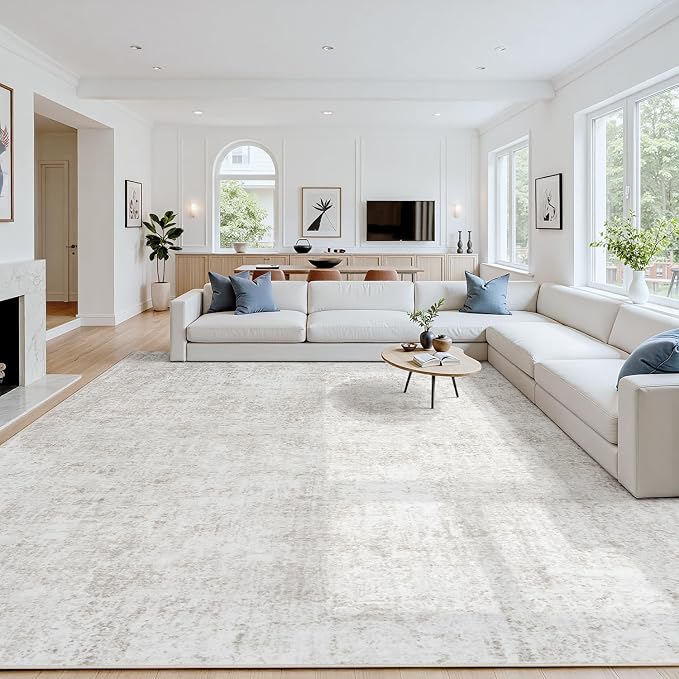 Area Rug 6x9 Living Room Rug Washable: No-Slip Abstract Soft Thin Large Light by Oriannal