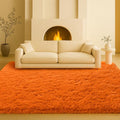Area Rugs for Living Room, Long Shaggy Furry Carpet Plush Fluffy Carpet by Mtandyx