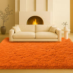 Area Rugs for Living Room, Long Shaggy Furry Carpet Plush Fluffy Carpet by Mtandyx
