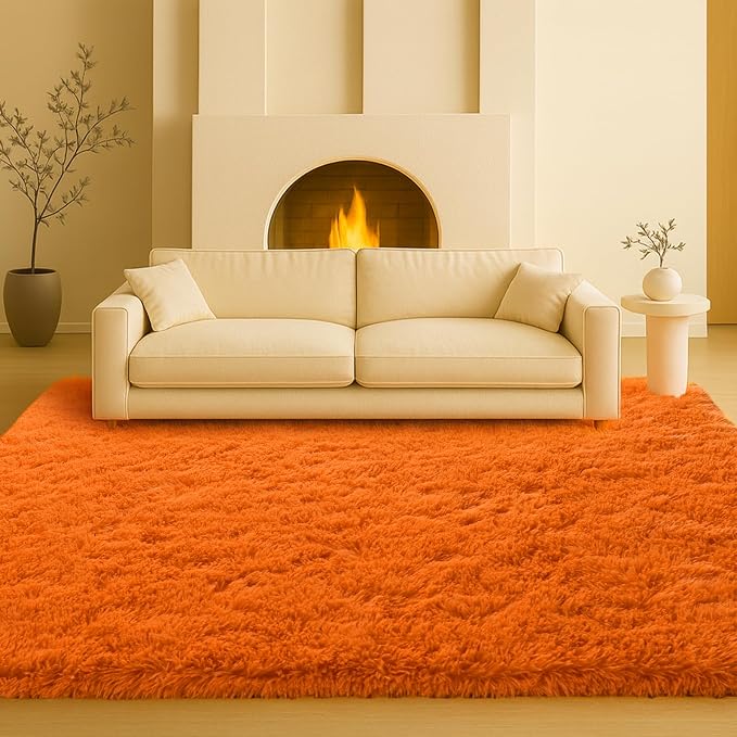 Area Rugs for Living Room, Long Shaggy Furry Carpet Plush Fluffy Carpet by Mtandyx