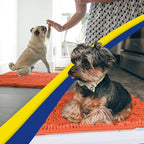 Muddy Mat® | Super Water Absorbent Door Mat Indoor, Microfiber Quick Dry - Image 5