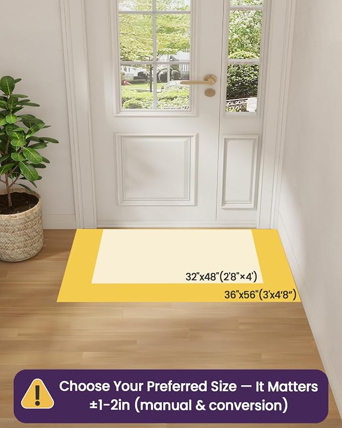 DEXI Ultra Thin Door Mat Indoor Entrance 36x56, Non Slip Rubber Backed Entryway - Image 2