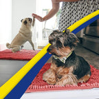 Muddy Mat® | Super Water Absorbent Door Mat Indoor, Microfiber Quick Dry - Image 6