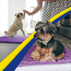 Muddy Mat® | Super Water Absorbent Door Mat Indoor, Microfiber Quick Dry - Image 5