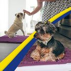 Muddy Mat® | Super Water Absorbent Door Mat Indoor, Microfiber Quick Dry - Image 5