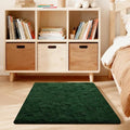 Dark Green Rugs for Bedroom, 3x5 Fluffy Area Rugs for Living Room, Small Fuzzy by Unknown