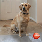 Pet Carpet Protector - Image 7