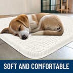 Smiry Dog Door Mat for Muddy Paws 48x30, Absorbent Dirt Trapper, Non-Slip - Image 2