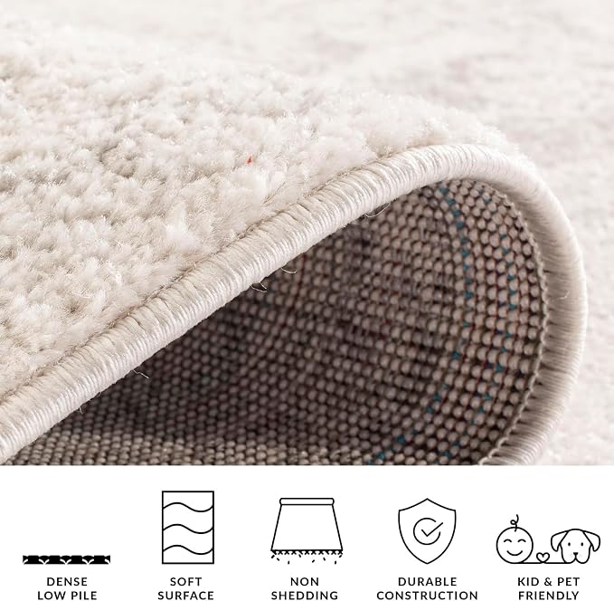 SAFAVIEH Adirondack Collection Area Rug - Image 8