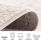 SAFAVIEH Adirondack Collection Area Rug - Image 8