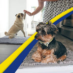 Muddy Mat® | Super Water Absorbent Door Mat Indoor, Microfiber Quick Dry - Image 6