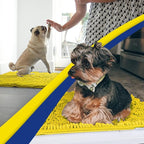 Muddy Mat® | Super Water Absorbent Door Mat Indoor, Microfiber Quick Dry - Image 5