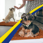 Muddy Mat® | Super Water Absorbent Door Mat Indoor, Microfiber Quick Dry - Image 4