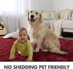 Area Rugs for Living Room, 5x7 Feet Soft Fluffy Shagg Plush Rug High Pile Large - Image 5