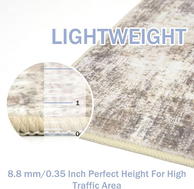 IOHOUZE Small Abstract Area Rug 2x3 Ft Entryway Rugs Washable Door Mat Indoor - Image 6