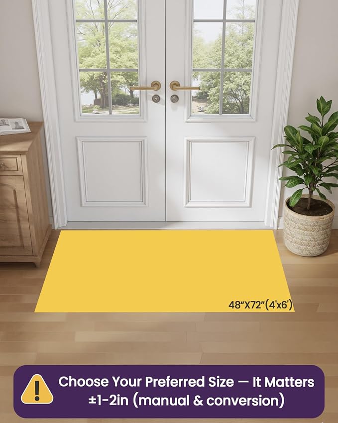 DEXI Ultra Thin Door Mat Indoor Entrance 48x72, Non Slip Rubber Backed Entryway - Image 2