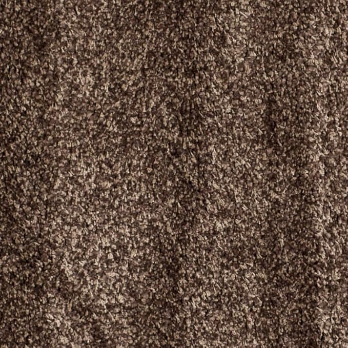 SAFAVIEH Area Rug 11x15 - Image 7