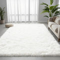 5x7 Area Rug for Living Room, Ultra Soft Fluffy Shag Rugs for Bedroom, Non-Slip by Yidanamy