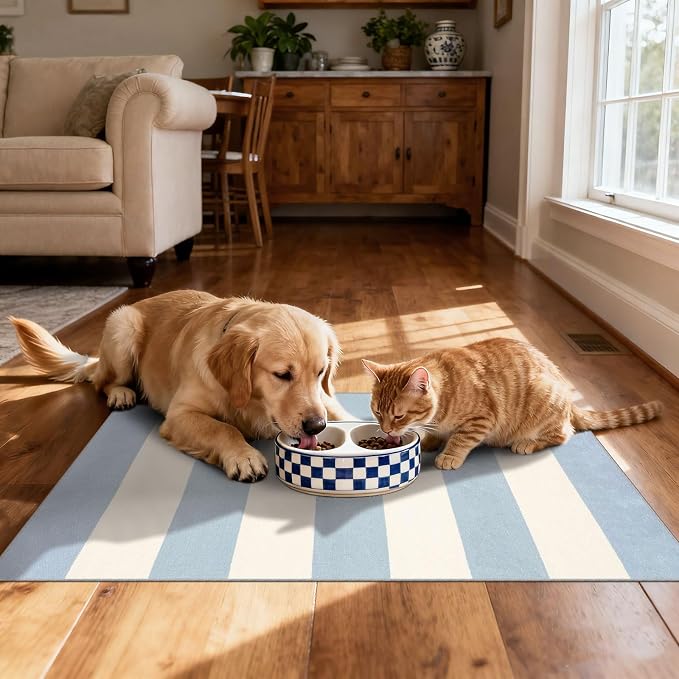 Blue White Striped Outdoor Rug - Image 7