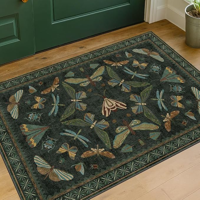 Hazo Haus 2x3 Entry Way Rugs Indoor - Image 9