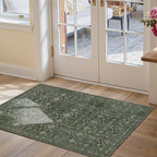 Rugxara Entryway Rug Door Mat, Washable Samll 2x3 Rug, Non Slip Area Rugs - Image 2