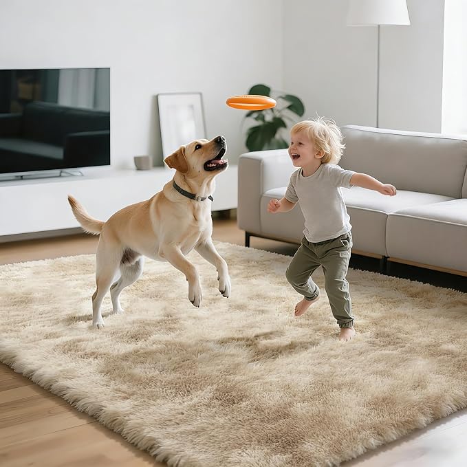 Shag Area Rugs for Bedroom Living Room, 6X9 Ultra Soft Fluffy Area Rugs for Dorm - Image 7