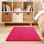 3x5 Rugs for Bedroom, Fluffy Area Rugs for Living Room, Small Fuzzy Shag Soft by Unknown
