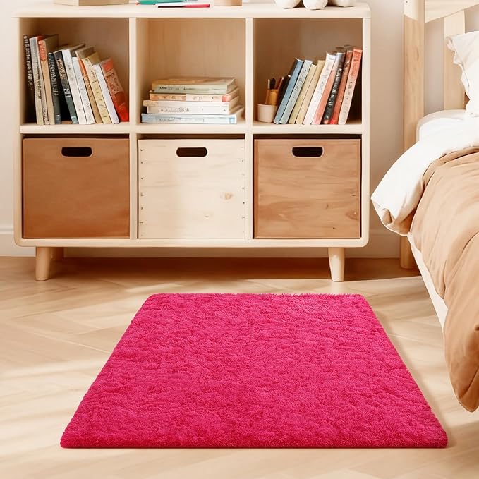 3x5 Rugs for Bedroom, Fluffy Area Rugs for Living Room, Small Fuzzy Shag Soft by Unknown