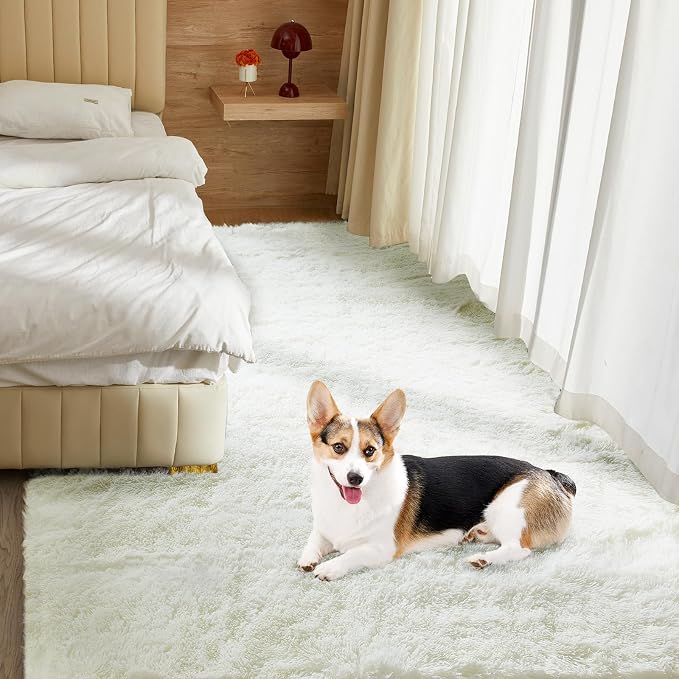 Ultra Soft Rug for Living Room, 4X6 Fluffy Shag Area Rug for Bedroom, Modern - Image 6