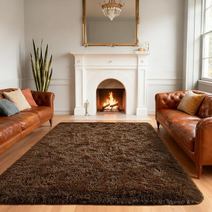 Andecor Shag Area Rug for Living Room, 8 x 10 Feet Coffee Soft Fluffy Indoor by Andecor