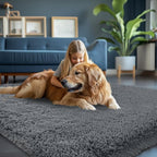 Fluffy Area Rugs for Bedroom 5x7: Shag Rugs for Bedroom - Image 3