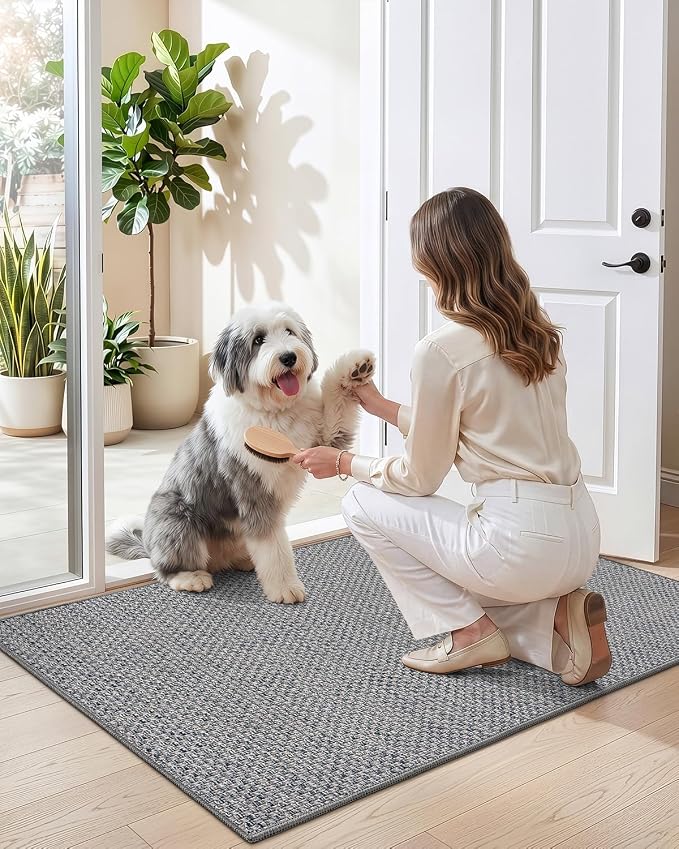 DEXI Ultra Thin Door Mat Indoor Entrance 35x56, Non Slip Rubber Backed Entryway - Image 9