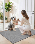 DEXI Ultra Thin Door Mat Indoor Entrance 35x56, Non Slip Rubber Backed Entryway - Image 9