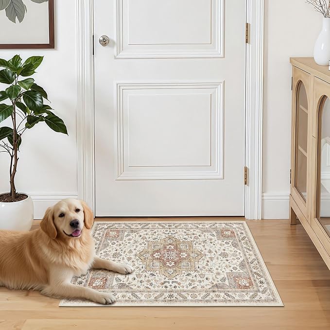 Vintage Living Room Area Rug 2x3 - Image 7