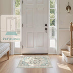 Tortania Area Rug 2x3 Doormat - Image 7