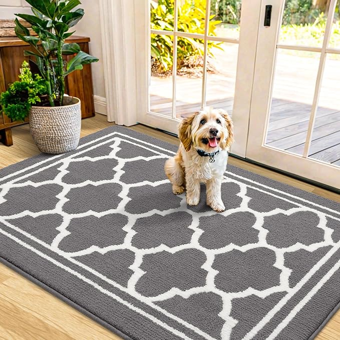 Buganda Indoor Door Mat, Dirt-Resistant and Absorbent Doormat, Low Profile by Buganda