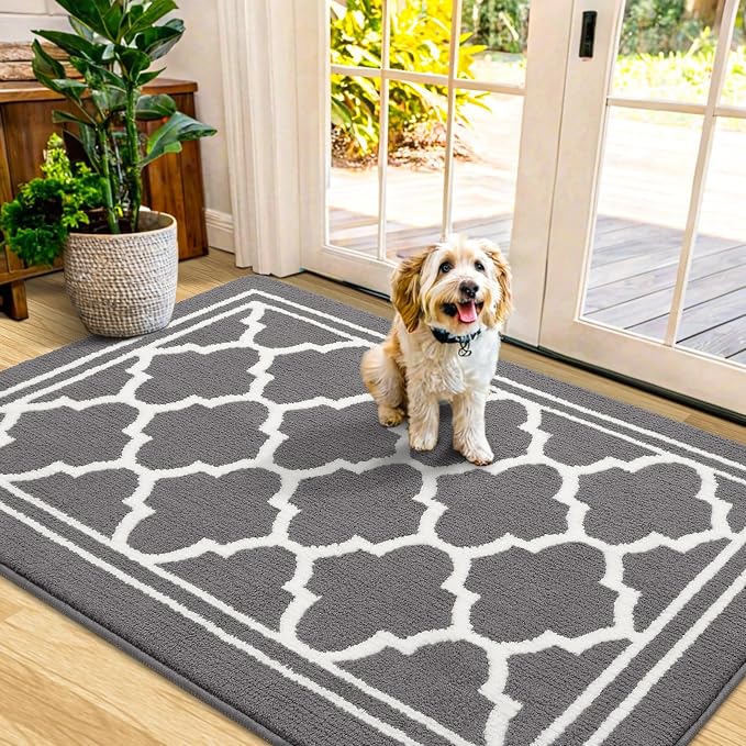 Buganda Indoor Door Mat, Dirt-Resistant and Absorbent Doormat, Low Profile by Buganda