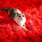 PAGISOFE Soft Modern Red Area Rug, 4x6 Feet, Shaggy Indoor Rug - Image 5