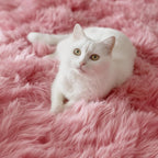 PAGISOFE Shaggy Fluffy Area Rugs Carpets - Image 3