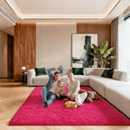 5x7 Area Rugs for Living Room, Large Fluffy Rugs for Bedroom, Fuzzy Shag Soft by Unknown
