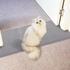 Carpet Protector for Pets Cat Carpet Protector for Doorway, Anti Scratch Under by Oroonoko