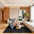 5x7 Black Rugs for Living Room, Large Fluffy Area Rugs for Bedroom, Fuzzy Shag by Unknown