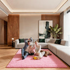 5x7 Pink Rugs for Bedroom Girls, Large Fluffy Area Rugs for Living Room by Unknown